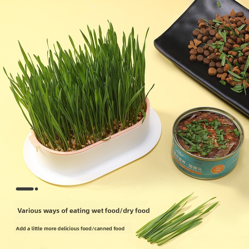 Suministros para mascotas, ape - Hydroponic Grow Pod reseña y precio