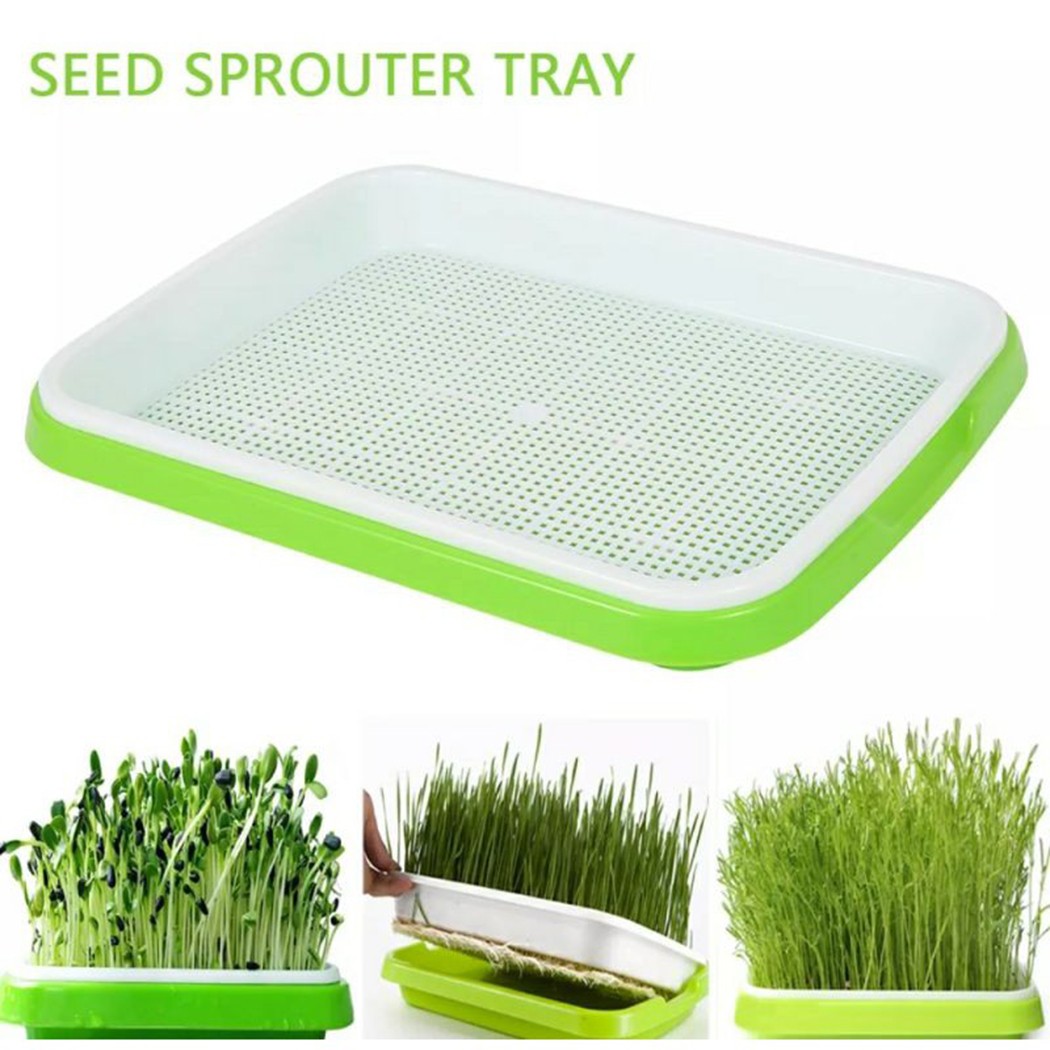 Bandeja de germinación de micr - Hydroponic Grow Pod reseña y precio