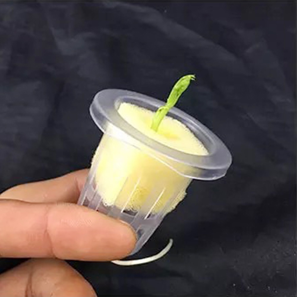 Tazas de malla hidropónicas pa - Hydroponic Grow Pod reseña y precio