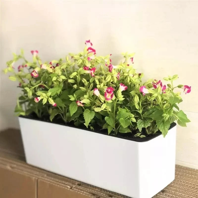 Maceta rectangular para perezo - Hydroponic Grow Pod reseña y precio
