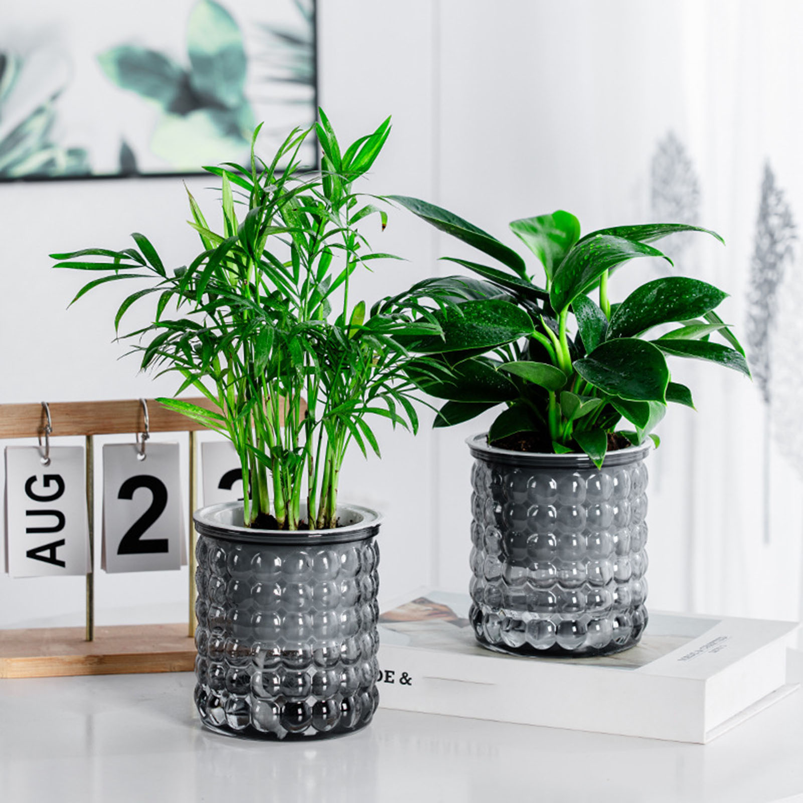 Nuevo Maceta de plantas hidrop - Hydroponic Grow Pod reseña y precio