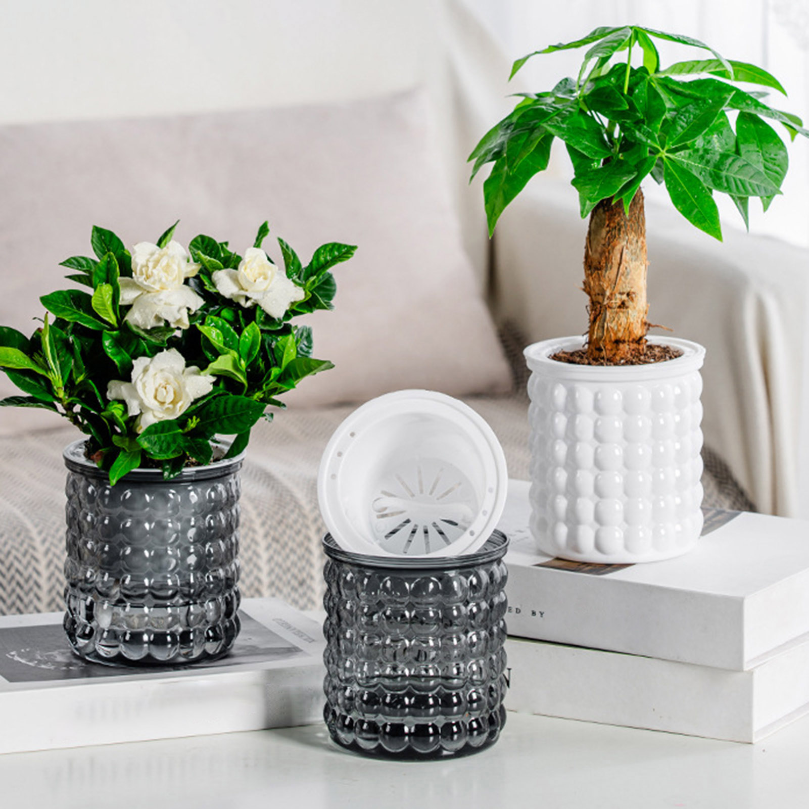 Nuevo Maceta de plantas hidrop - Hydroponic Grow Pod reseña y precio