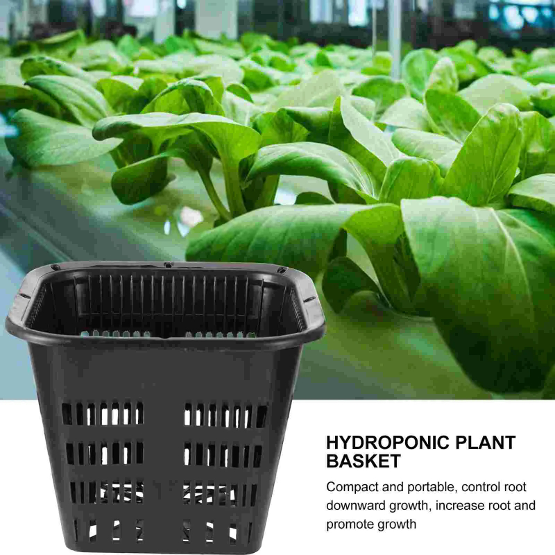 6 cestas de cultivo hidropónic - Hydroponic Grow Pod reseña y precio